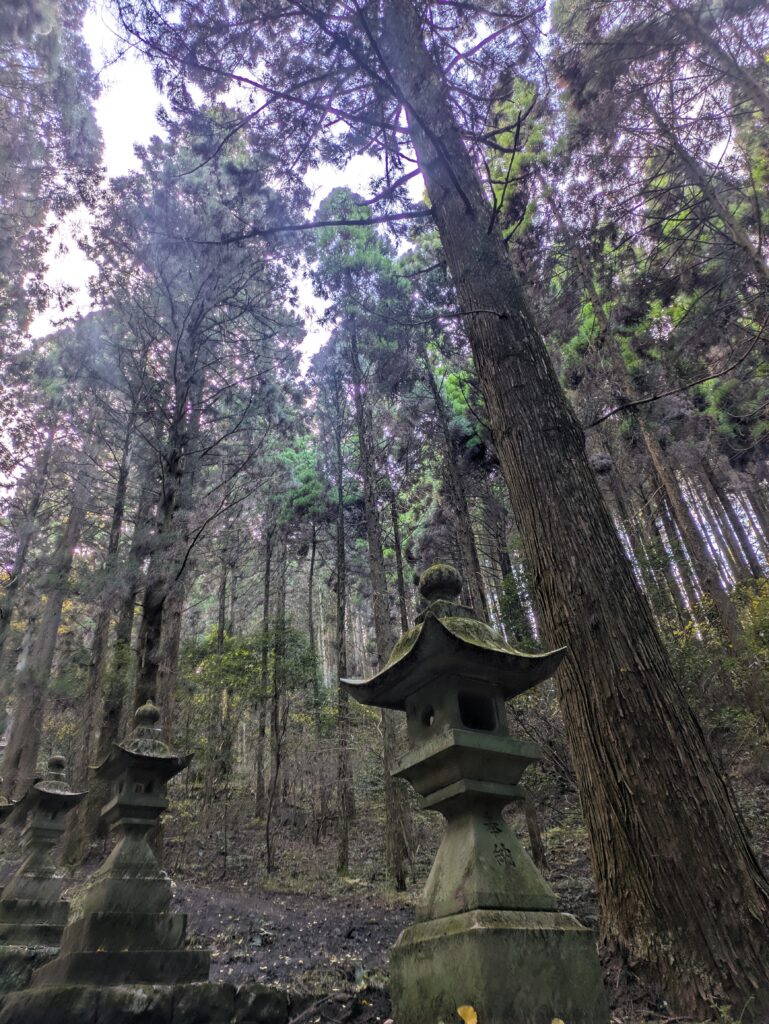 Towering cedar trees and ancient stone lanterns leading up mossy stairs at Kamishimi-kumano-za Shrine, Kyushu Japan.