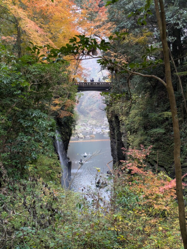 View through green and autumn leaves into Takachiho Gorge, with a high pedestrian bridge crossing over the top of the waterfall.