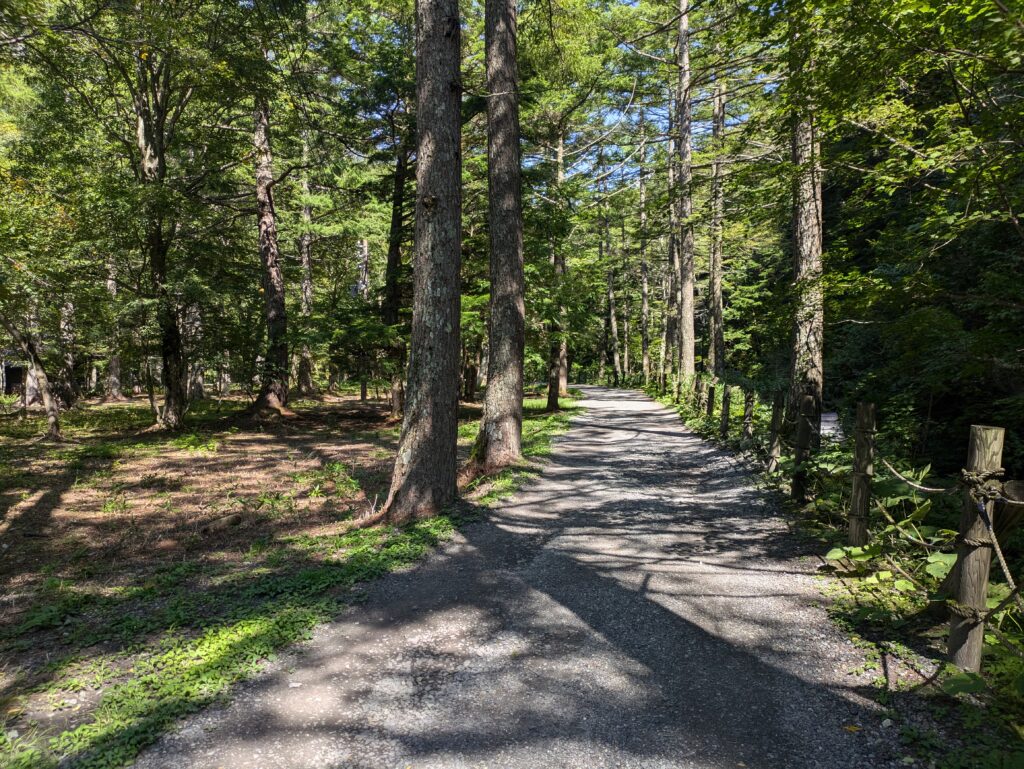 A wide, dirt and gravel walking track cutting through a serene, shady forest of tall pine trees in the alpine reserve of Kamikochi, Japan.