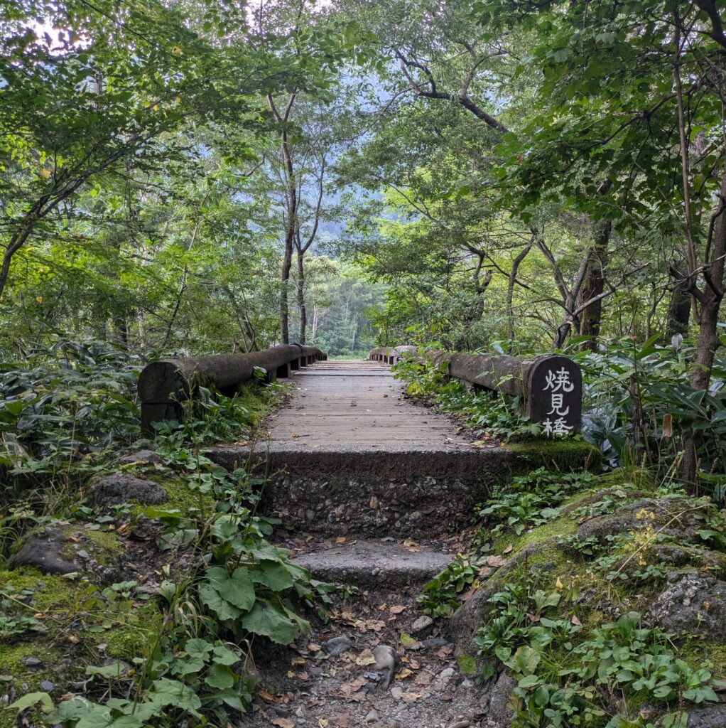 A small wooden footbridge, its handrails made of rough-hewn, debarked logs, extends into a dense forest of lush green trees, viewed from the bottom of several stone steps leading up to it.