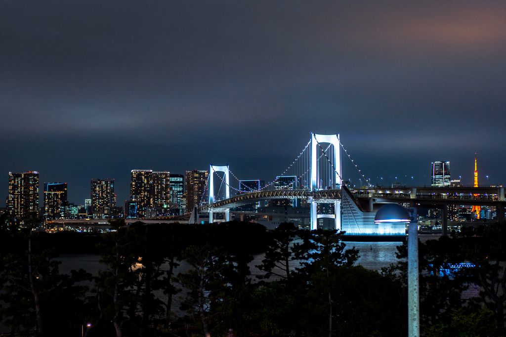 Stunning view of Tokyo's Rainbow Bridge illuminated against the city skyline at night.