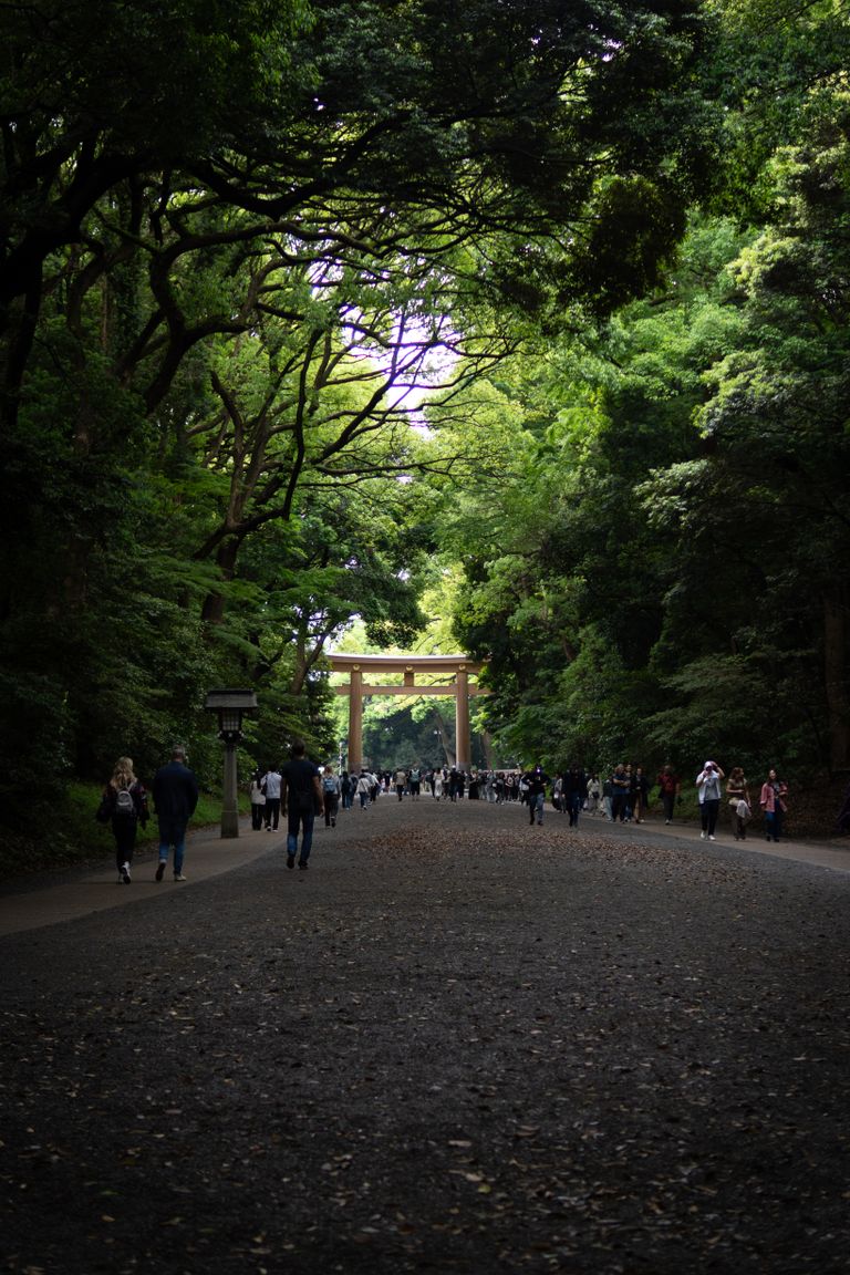 A scenic view of tourists walking through a path under a traditional Torii gate surrounded by lush greenery.