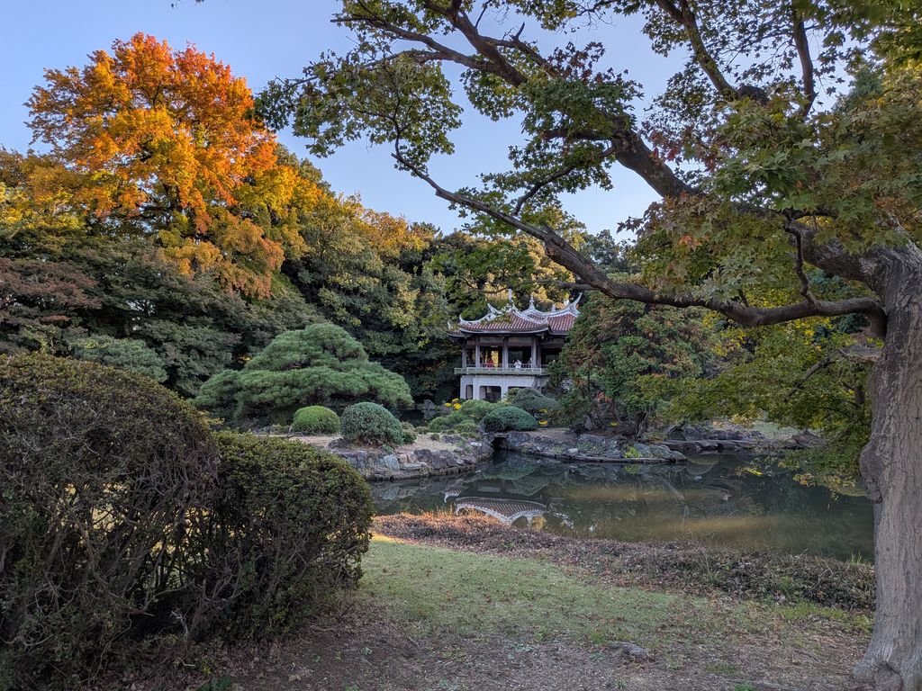 Serene autumn landscape featuring a traditional Japanese pavilion in Shinjuku Gyoen, Tokyo.